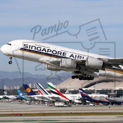 Singapore Airlines Airline Tickets